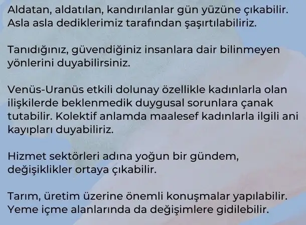 başak7 (3).webp
