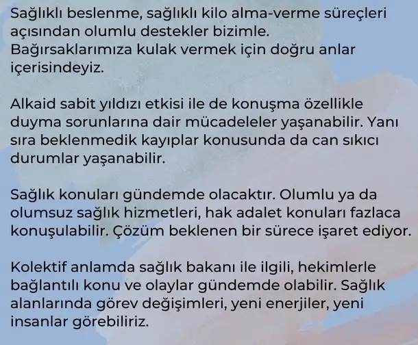 başak7 (4).webp