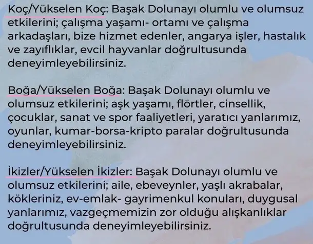 başak7 (5).webp
