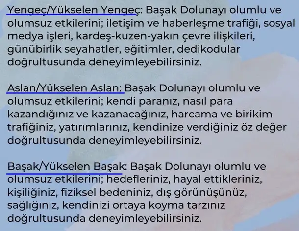 başak7 (6).webp