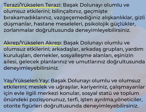 başak7 (7).webp