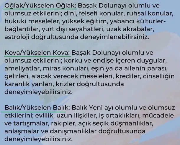 başak7 (8).webp