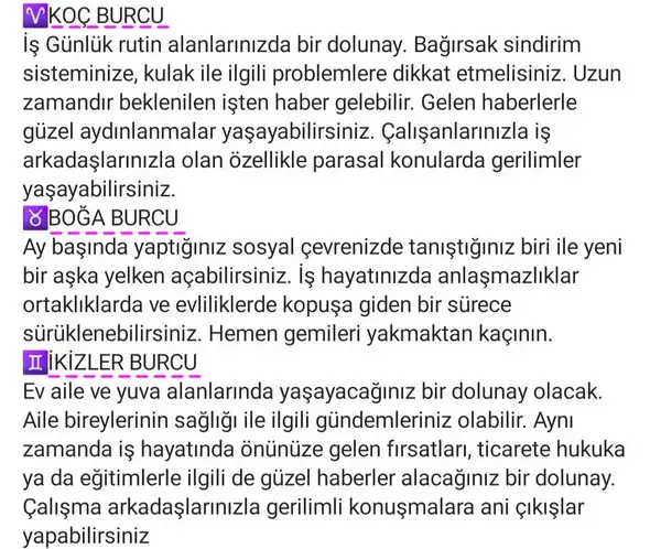 başak9 (2).webp