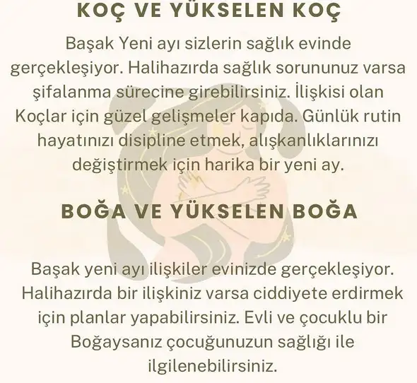 başak9 (2).webp