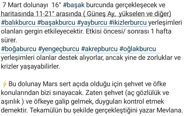 başak9 (2).webp
