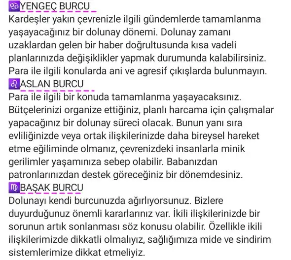 başak9 (3).webp