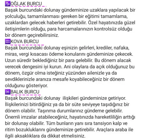 başak9 (5).webp