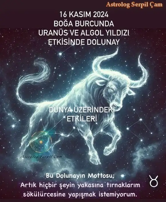 bb.webp