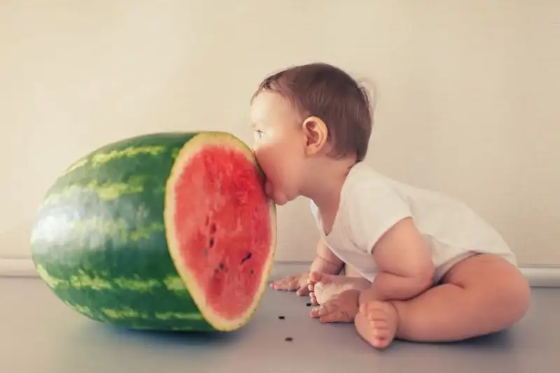bebefruits.webp