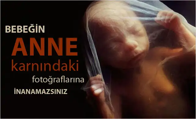 bebegin-anne-karnindaki-fotograflari-5415364.webp