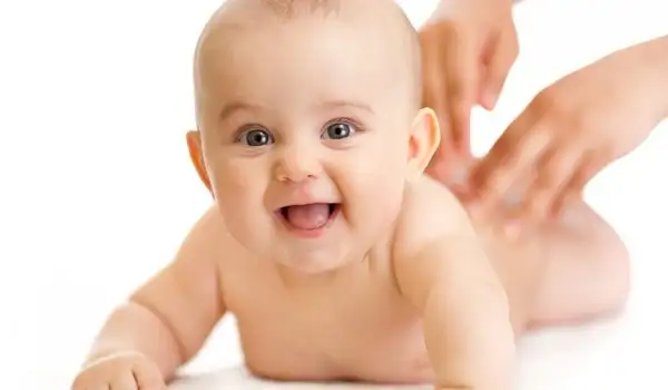 bebek-600x350.webp