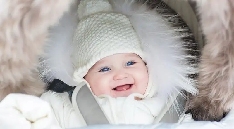 bebek.webp