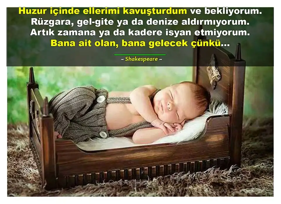 bebişş.webp