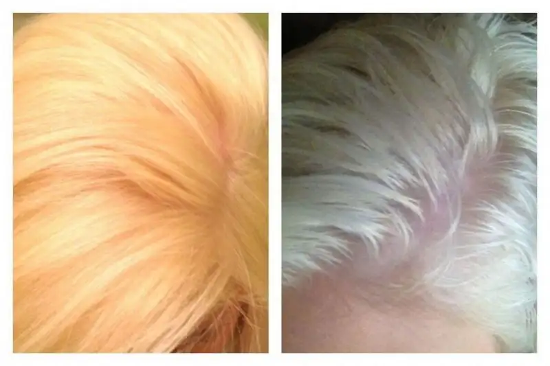 Before-and-After-with-Purple-Shampoo-1.webp