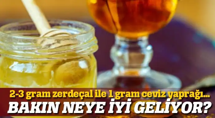 bel_fitigi_zerdecal.webp