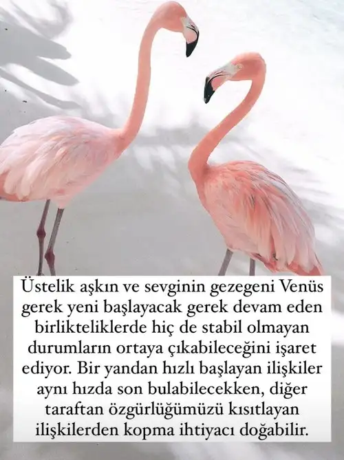 bendegül çand (8).webp