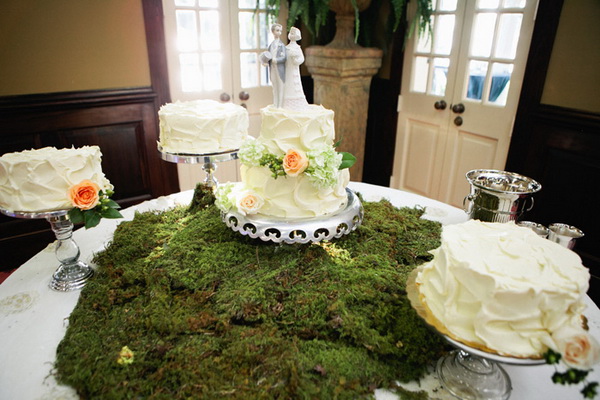 Best-Wedding-Cakes-at-Stylish-Eve-2013_39.jpg
