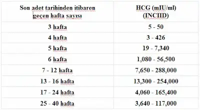 beta-bhcg.webp