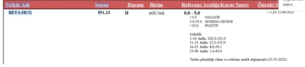 beta.webp