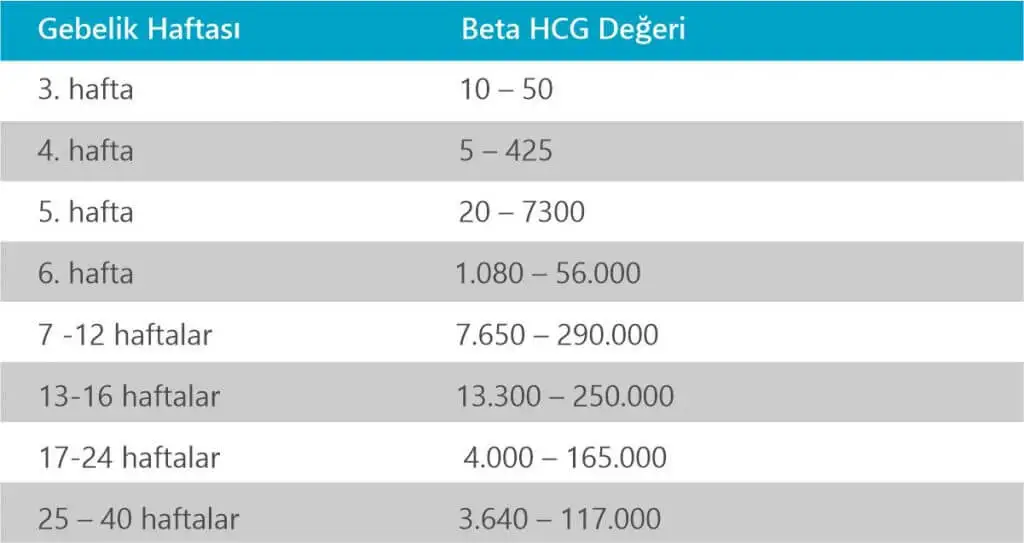 beta hcg örnek sonuçlar