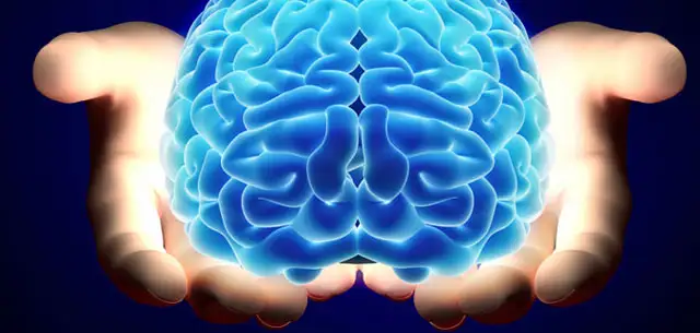 beyin-Nakli-brain-transplant-beyin-beyin.com_.webp
