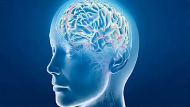 beyin-tumoru-belirtileri-nelerdir-metastaz-nedir-meningiom-nedir_620x350.webp