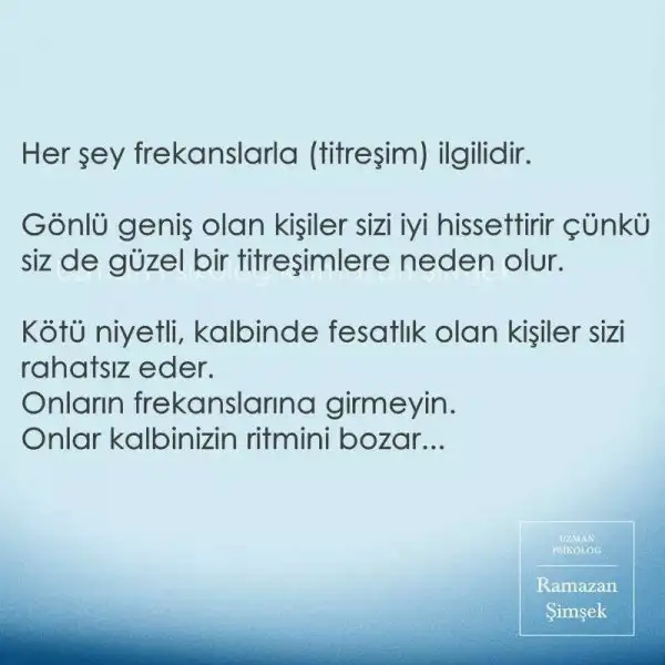 BF979483-EFEE-4D2E-BF42-D99947F0521D.webp