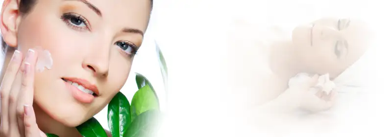 bfx-header1.webp