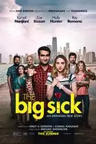 bigsick.webp