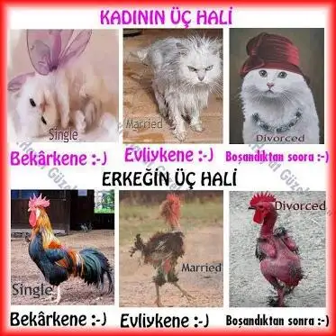 BIIaEHICEAA2L9C.webp