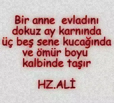 bir-anne.webp