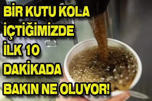bir-kutu-kola-ictigimiz-zaman-ilk-10-dakikada-bakin-ne-oluyor438042b197bcdcf41ed1.webp