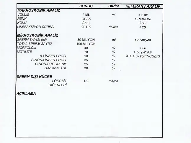 bir yıl önceki.webp