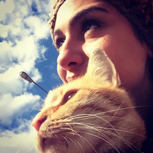 BİRCE AKALAY Her yerde buluşur kucaklaşırız. En sevdiğim sokak çocukları kediler.webp