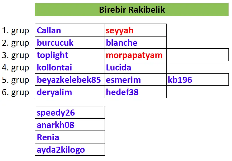 birebir.webp