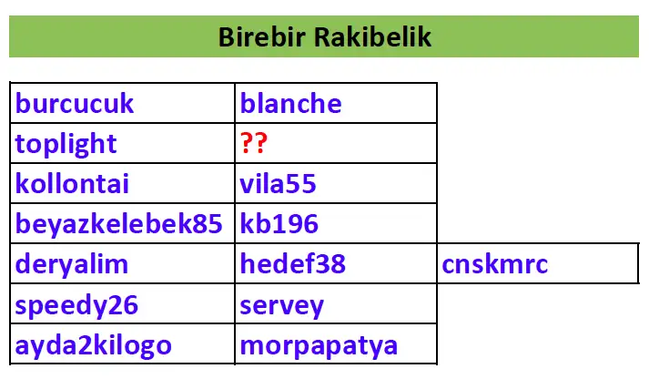 birebir.webp