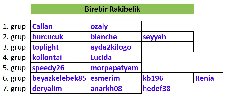 birebir5hafta.webp