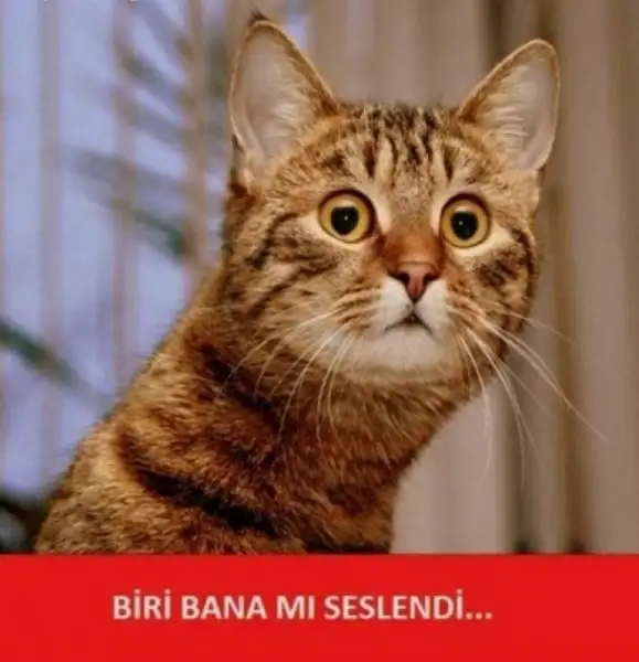 biri bana mı seslnedi.webp