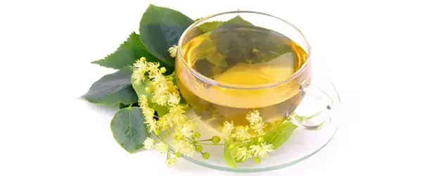 bitki_cayi_hazirlamanin_puf_noktalari.webp