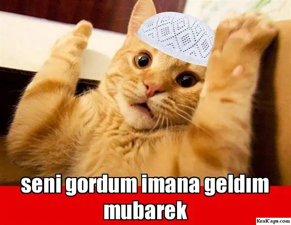 bizbrs.webp