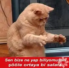 bizesalatayapr.webp