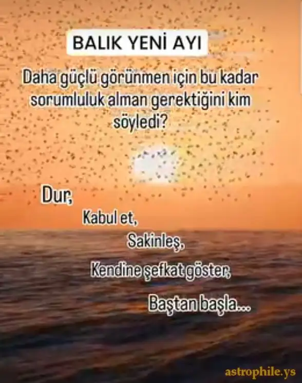 bl.webp