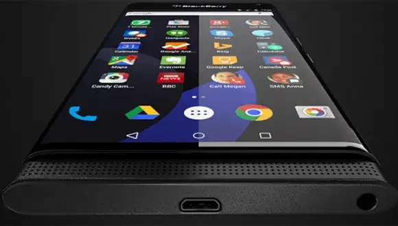 blackberry-venice.webp