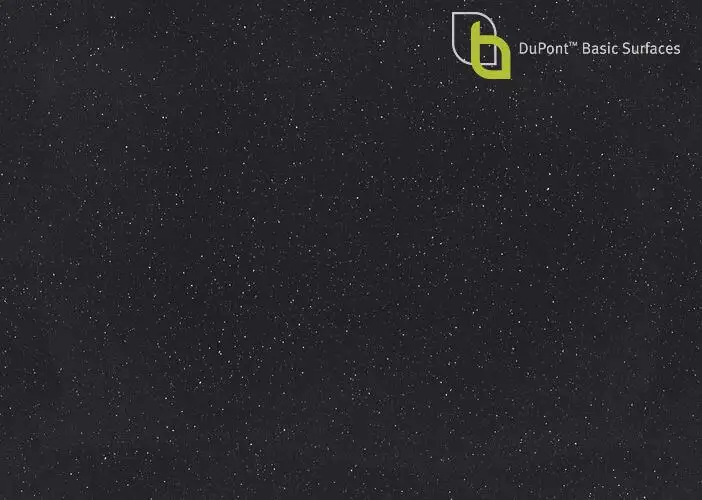 Blackbird.webp