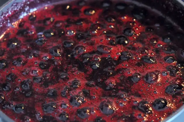 blueberryjam2.webp