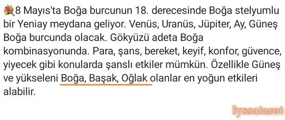 bo.webp