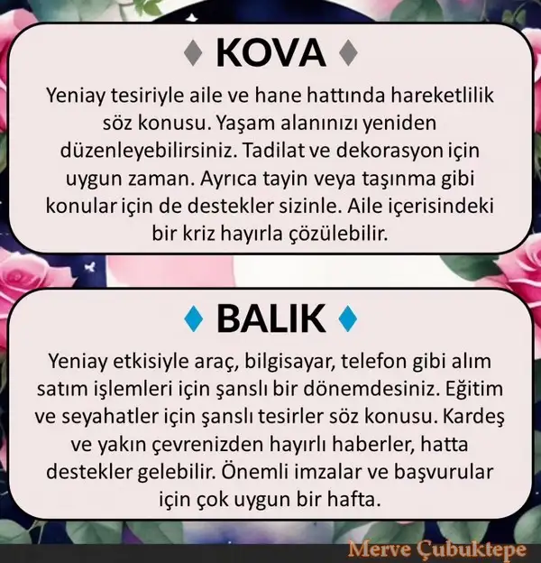 bo14 (6).webp