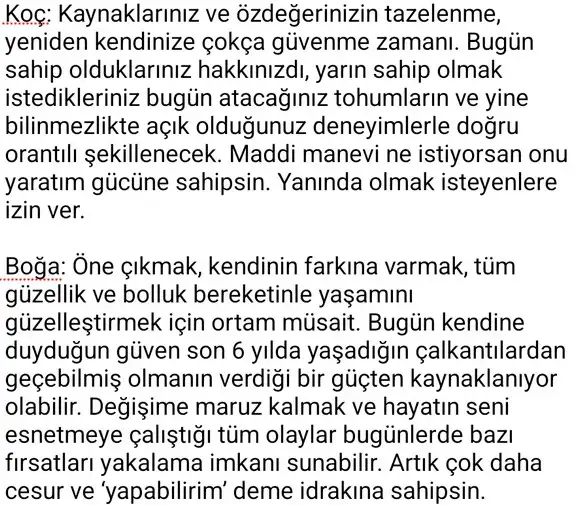 bo5 (2).webp