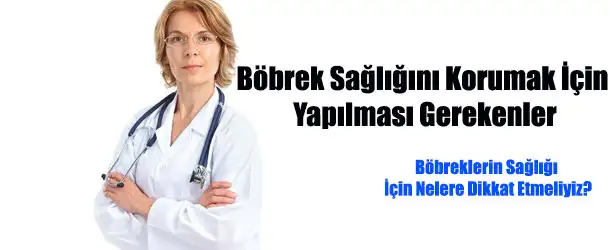 bobrek_sagligi1.webp