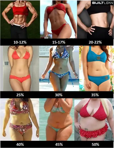 body-fat-percentage-women.webp